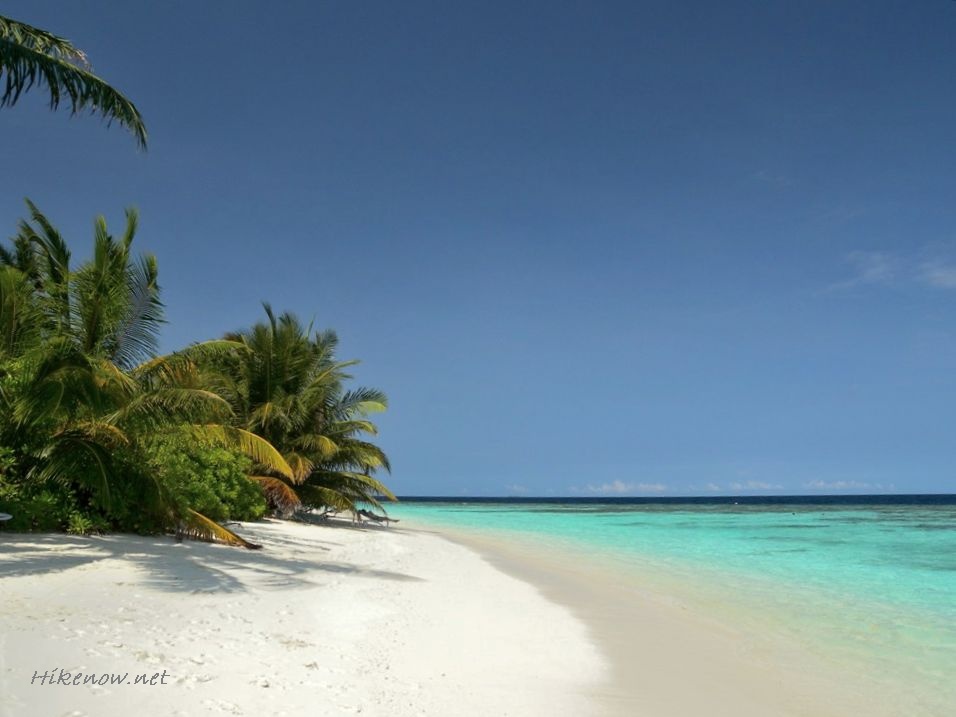 Maldives - Bandos island and beach 