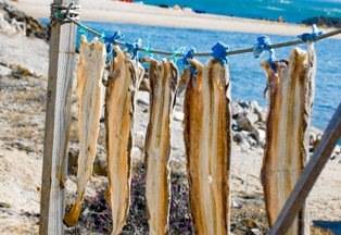 Povoa De Varzim drying fishes - Portugal