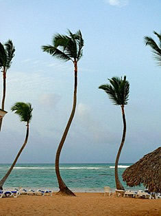 Stuning beaches of Dominican Republic