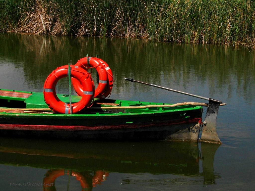 The Albufera natural park is home to the largest lake in Spain and one of the most important wetland areas in the Iberian Peninsula - Valencia Spain 