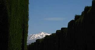 Siera Nevada from Alhambra Granada