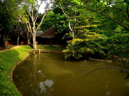 Small Lake in Amaya Lake park - Sri Lanka