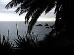 Blanes Marimurtra