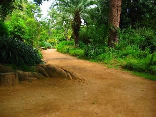 Walk Marimurtra Garden