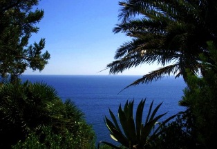 Vegetation of Marimurtra garden