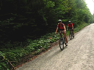 On the road through Radovna valley