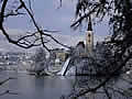 Lake Bled island winter