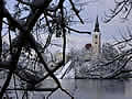 Lake Bled island winter