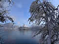 Lake Bled island winter