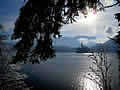 Lake Bled island winter