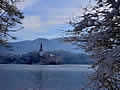 Lake Bled island winter