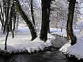 Lake bled winter stream