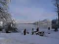 Lake Bled - stroll in winter