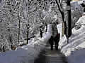 Lake Bled - stroll in winter