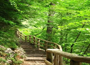 Walk to the Savica Waterfall