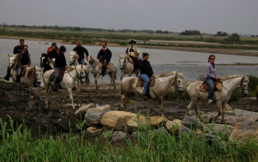 Riding holidays in Camargue - France