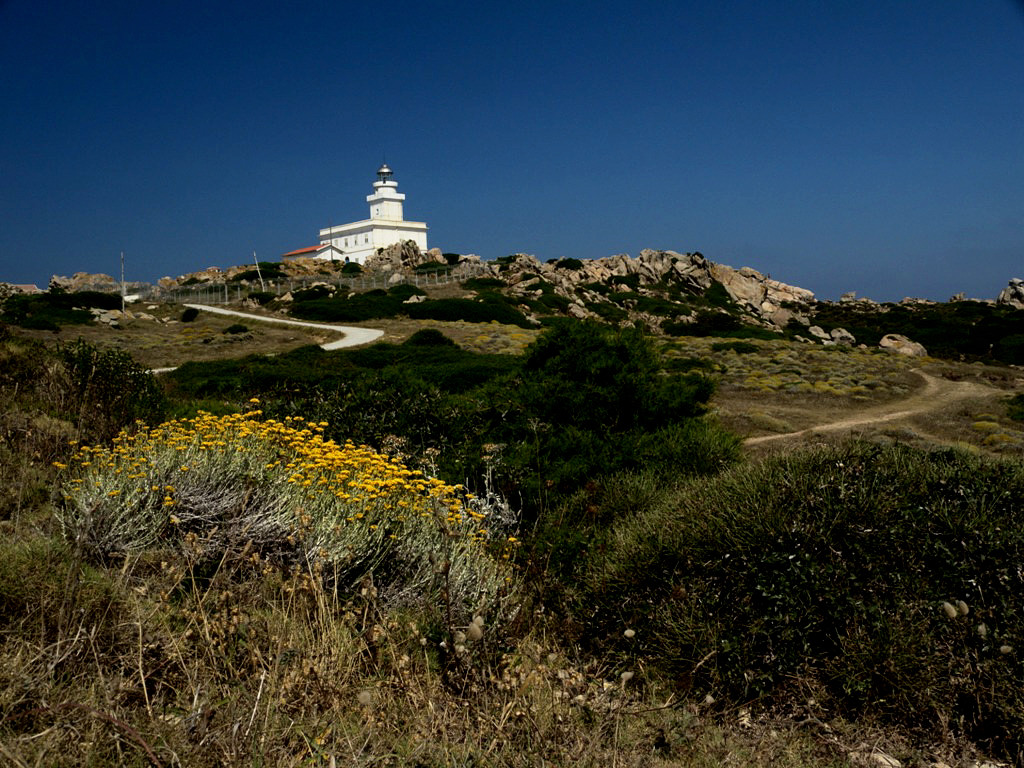 Apart from the Lighthouse there are many interesting rock cliffs which the wind and the Mediterranean sea have shaped into strange shapes - Sardinia