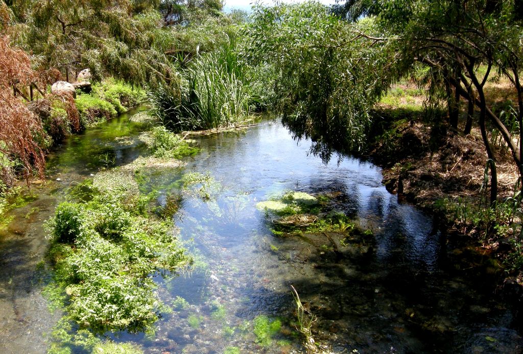 Fiumefreddo river and natural park - Sicily