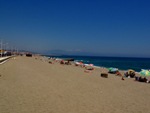 On the beach of Gibraltar