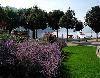 Gmunden city park