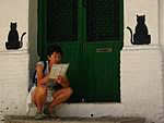 Cats in Granada