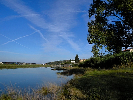 Secovlje landscape - old saltpans