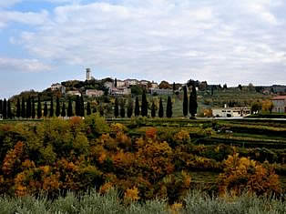 Cycling in vineyards of Istria Croatia - Oprtlaj