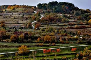 Cycling in vineyards of Istria Croatia - Oprtlaj