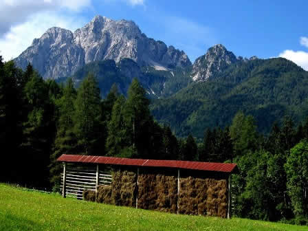 Visoka Ponca from Ratece - Slovenia