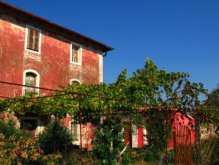 Houses on Adriatic coast