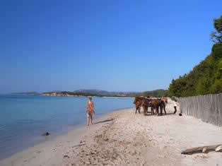 Palombaggia beach