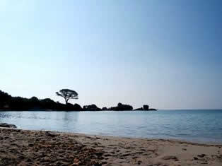 Palombaggia beach