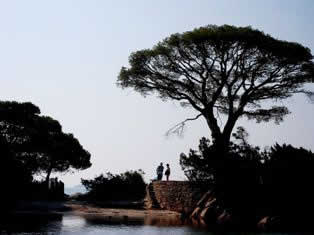 Palombaggia beach romanitc scene