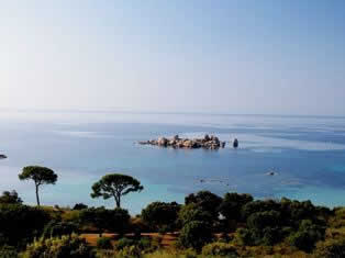 ines trees of Palombaggia beach