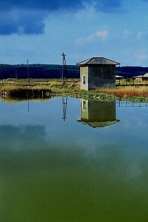 Secovlje saltpans