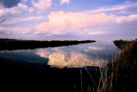 Saltpans Secovlje