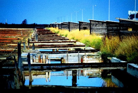 Saltpans Secovlje