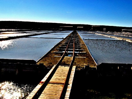 Saltpans Secovlje