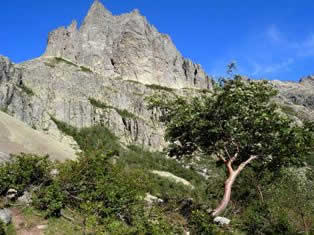 trail to Lake Melo Corsica