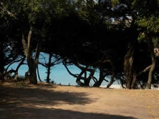 Roccapina beach Corsica