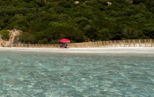 Roccapina beach Corsica