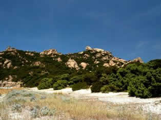 Roccapina beach Corsica