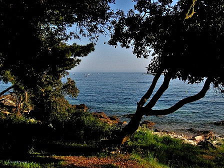 Promenade of Rovinj