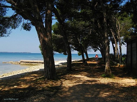 Beaches of Rovinj Croatia