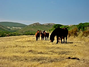 Landscape near Costa Verde