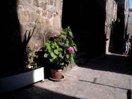 Sartene Corsica - old-town-streets