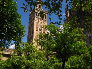 Seville Giralda