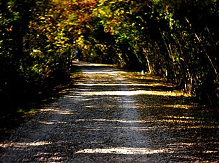 Cycling through former railway Kozina Trieste