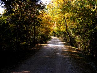 Cycling through former railway Kozina Trieste