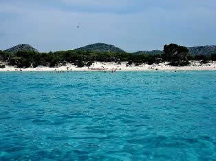 Saleccia beach - St Florent gulf Corsica